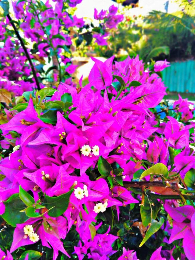 Hotel Pousada Summer Way Aquiraz Eksteriør bilde